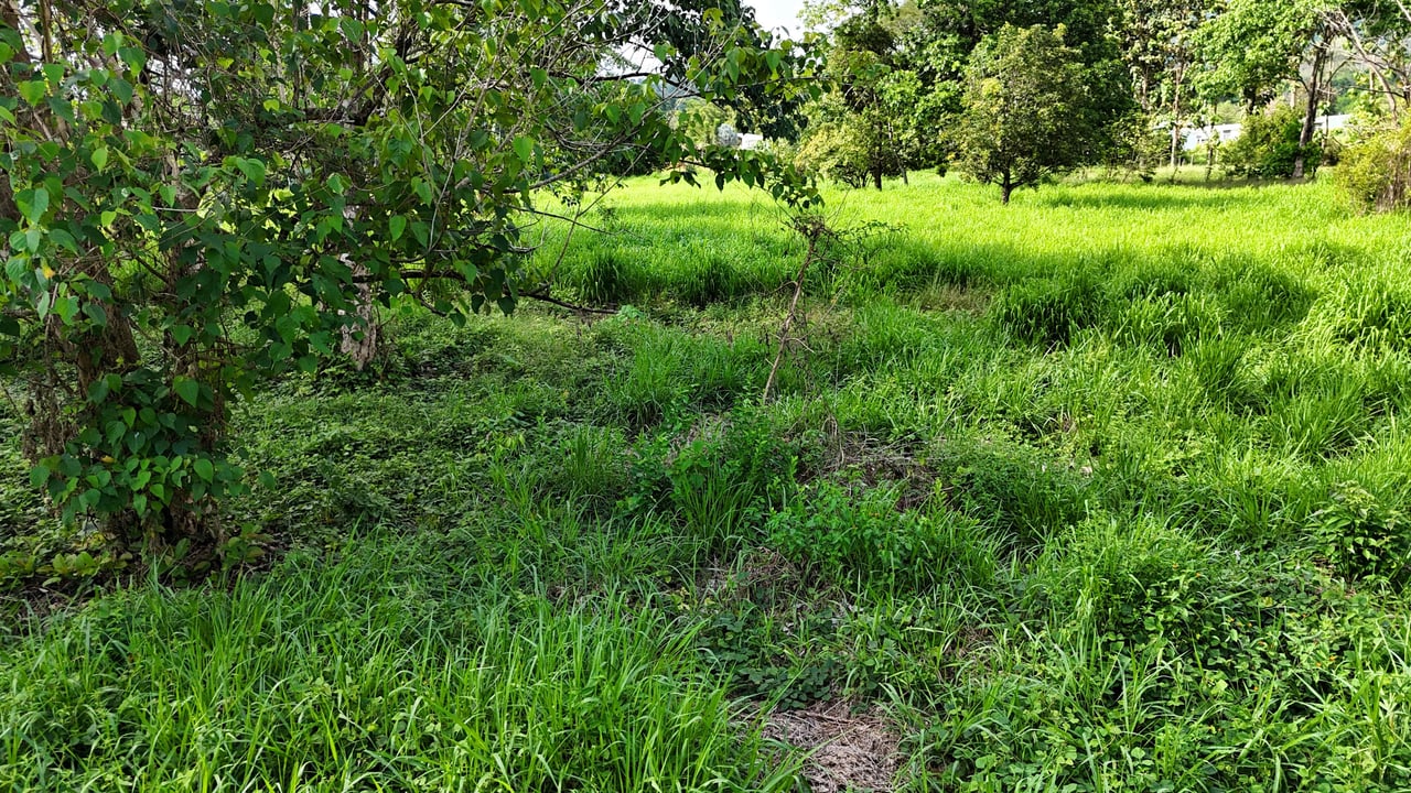 Over 3 Acres, Mountain View Lot in the Heart of Ojochal, Ready for Development!.