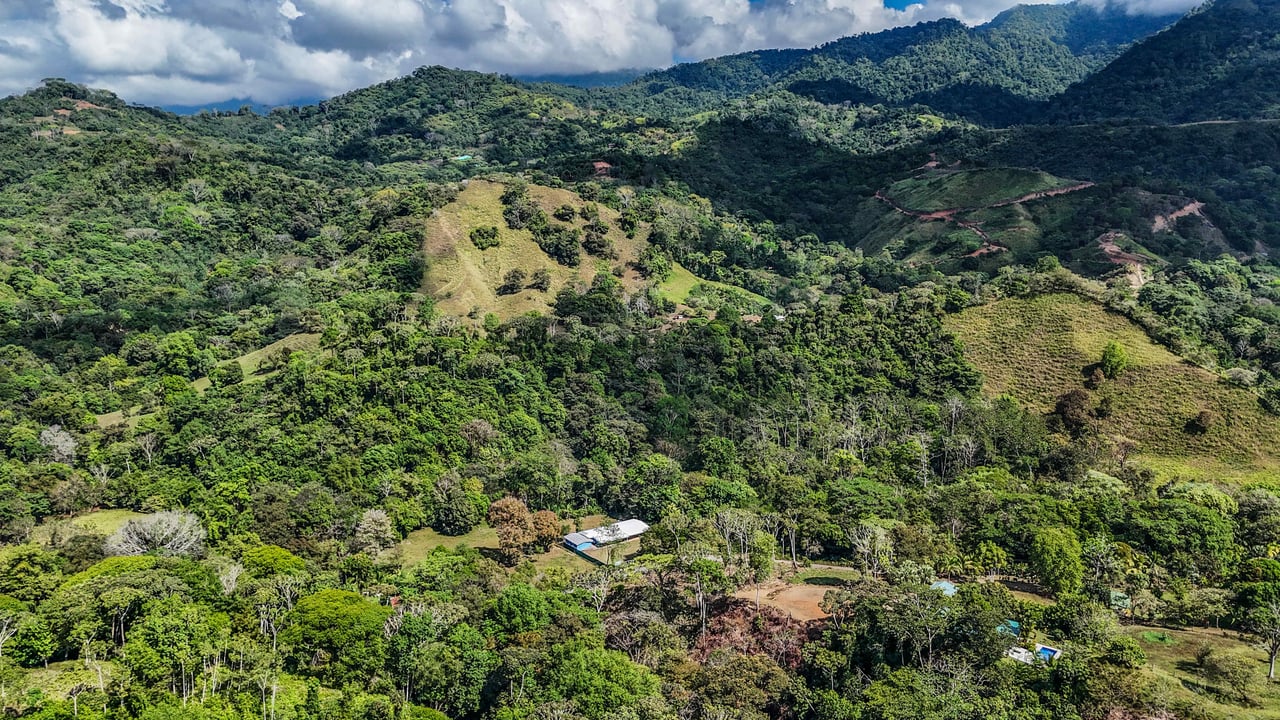 An elevated 1.2 acres lot with two plantels, panoramic mountain and jungle views.