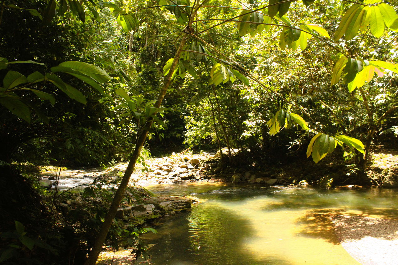 Wildlife Reserve Farm close to Ojochal