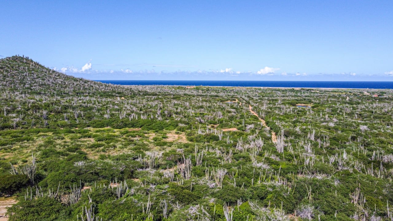 Property land Bonaire