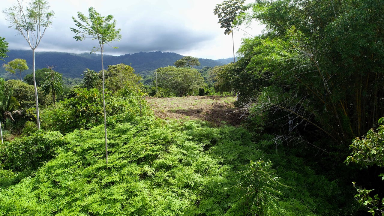 2 Acres Property with 360 Panoramic Views!