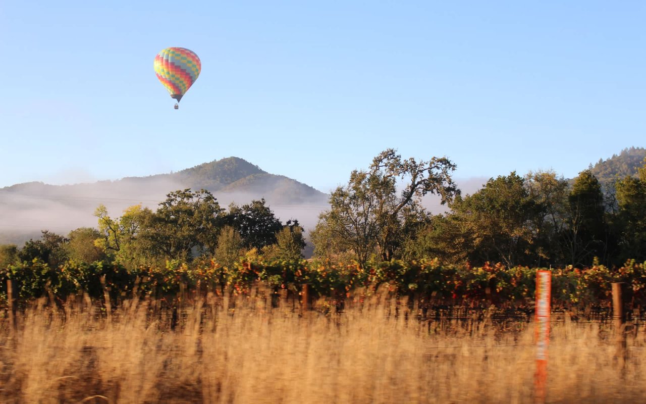 How to Improve the Air Quality of Your Home in Napa, California