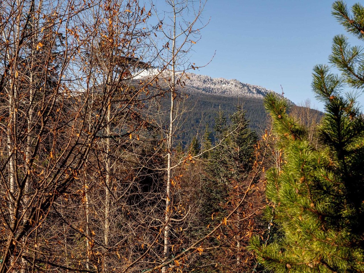 263-4591 Blackcomb Wy