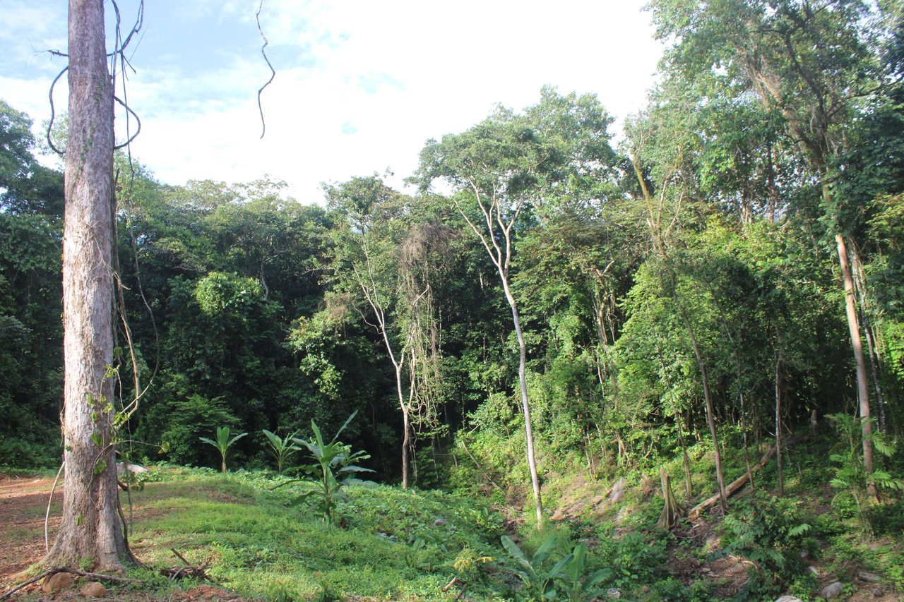 River Frontage Lot close to Uvita