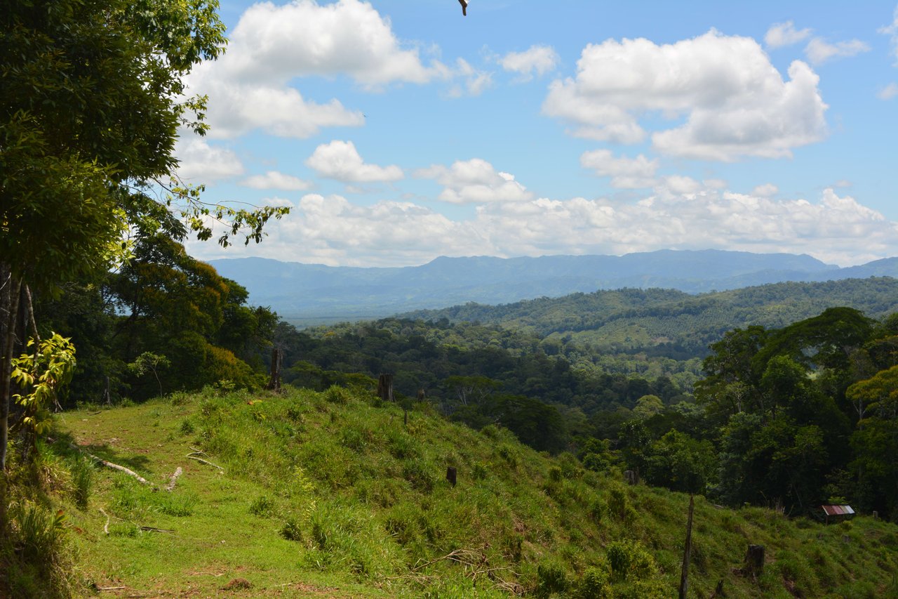 Osa Peninsula Los Mogos Magic Golfo Dulce Views 71 Acres