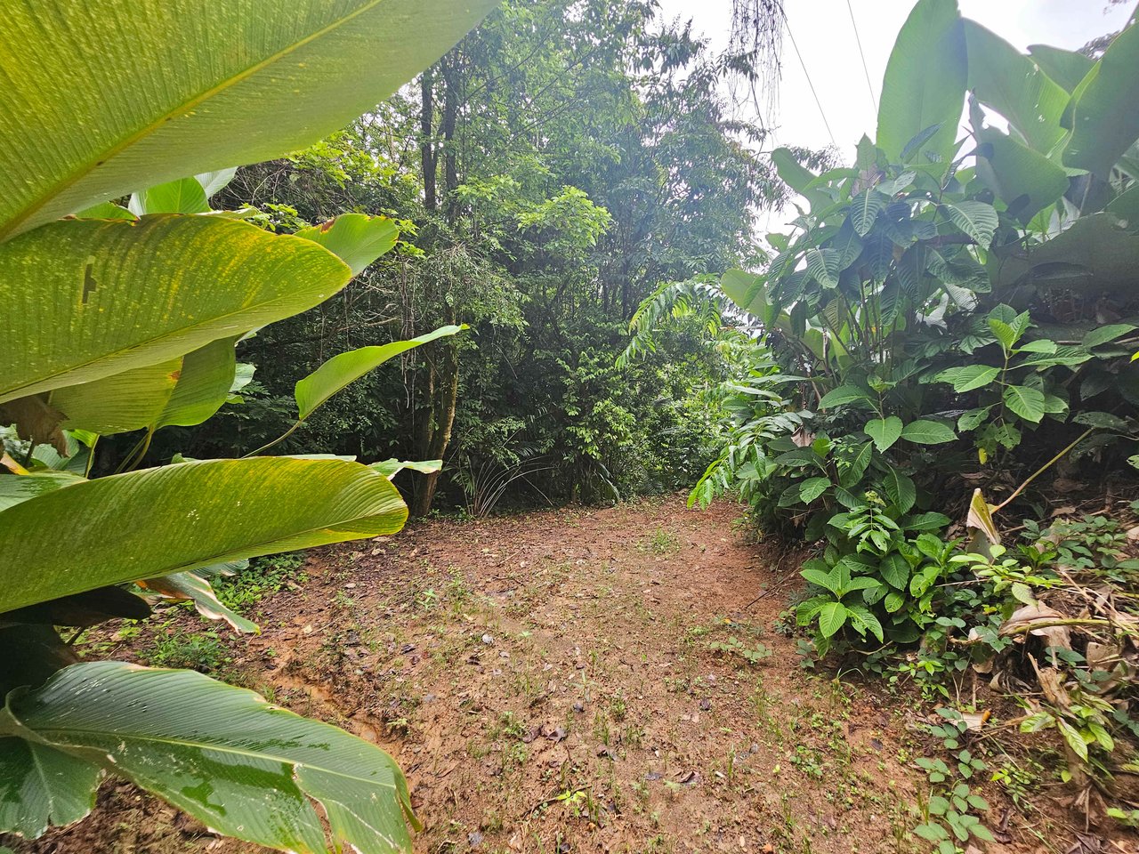 Discover Your Dream in Uvita's Prime Real Estate