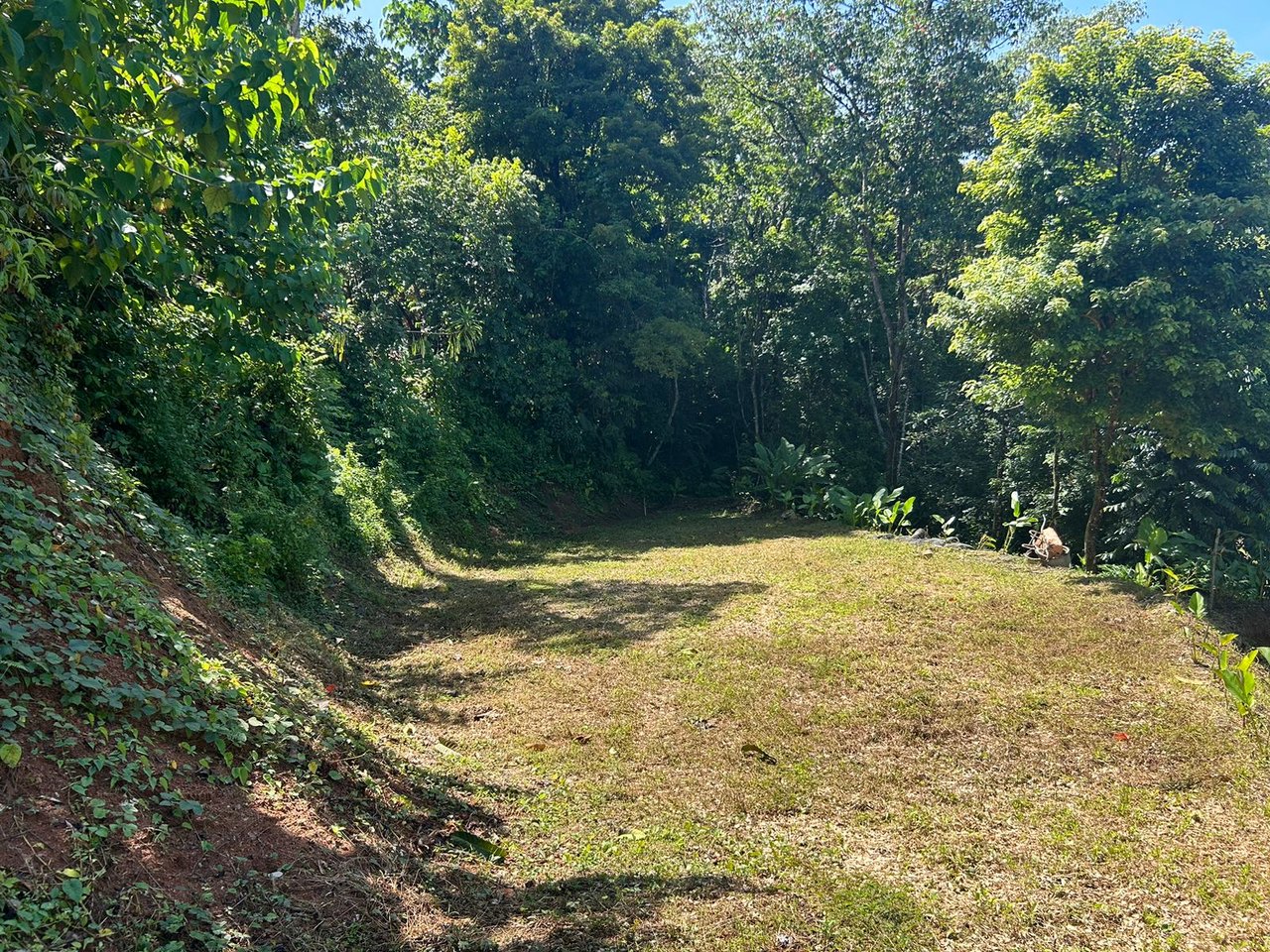 Reasonable Lot for sale in Uvita