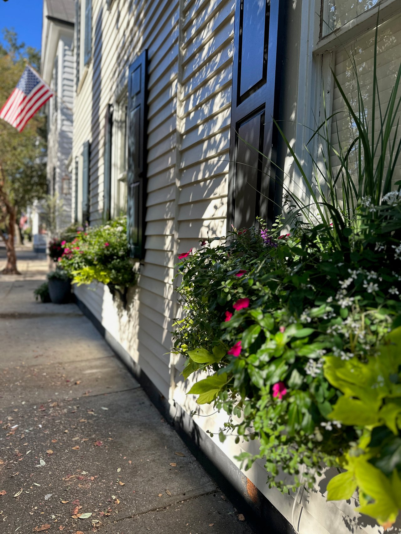 Embracing Autumn in Charleston