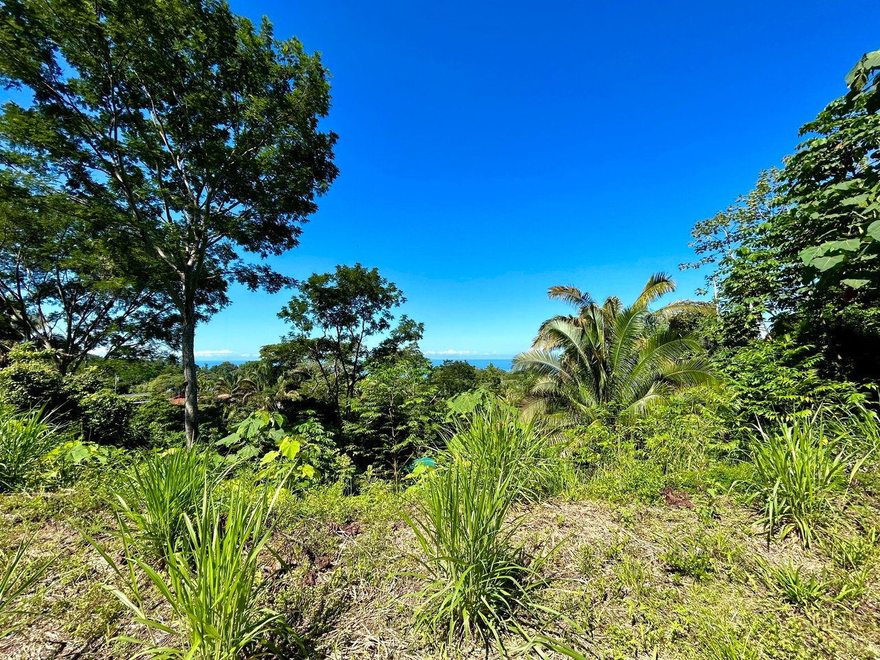 Ocean View Property in Playa Hermosa, Over 1.75 Acres