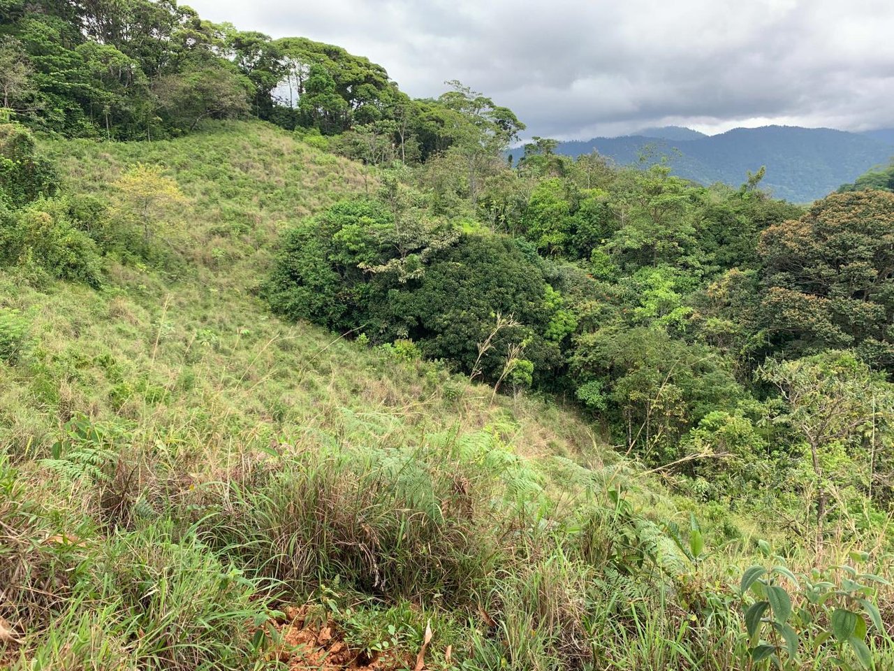 Ocean view land 286 acres near Quepos