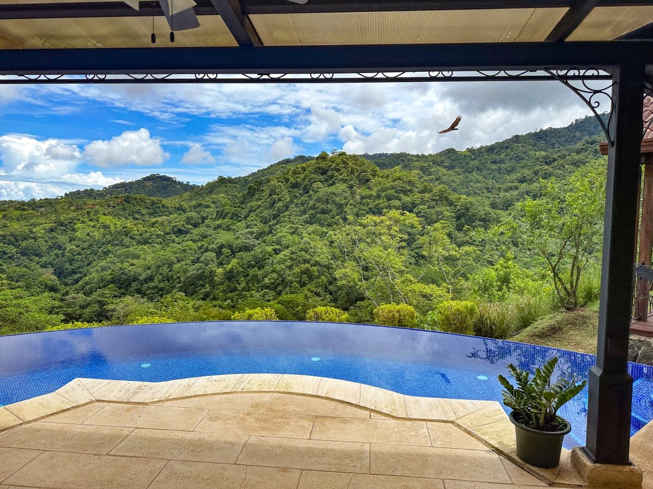 Waterfall Orchard Jungle Estate, Ojochal, Puntarenas