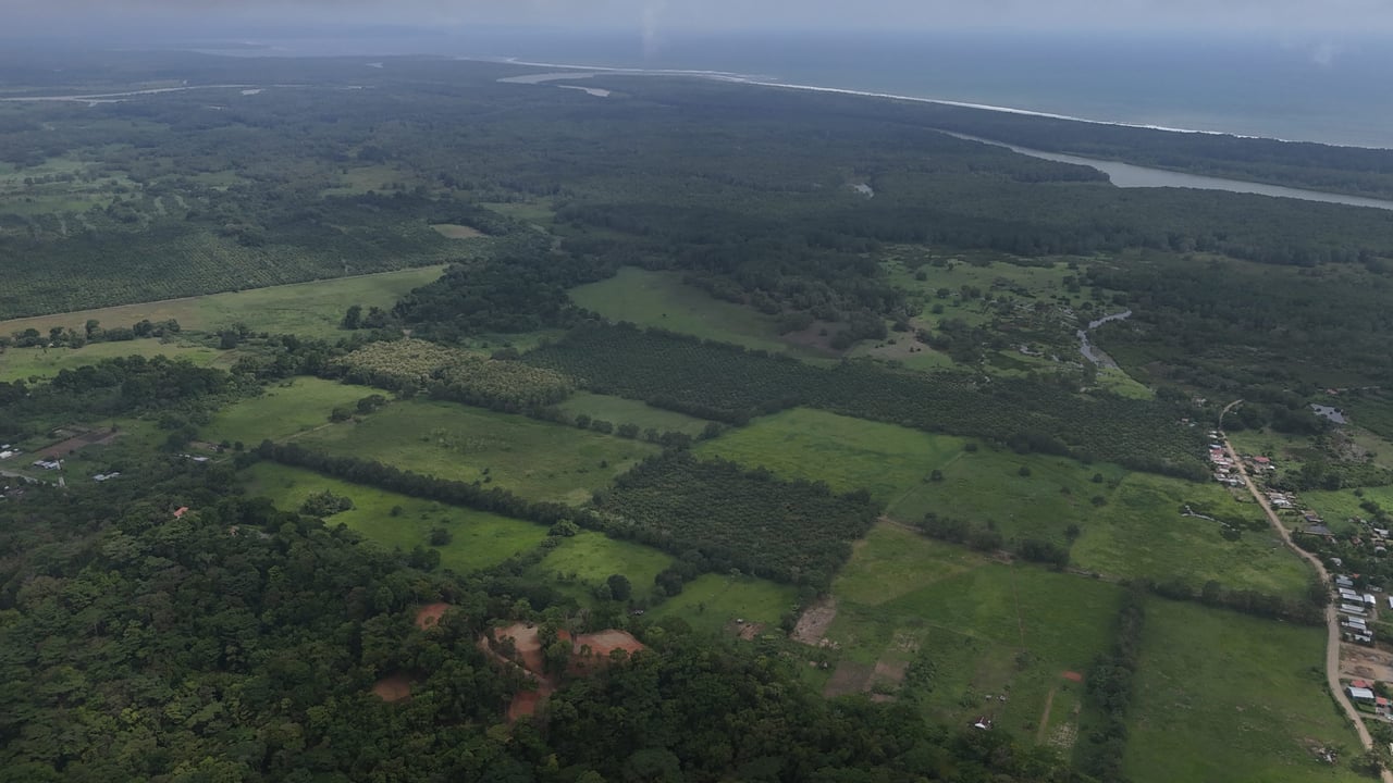 Fire Sale – Over 12 Acres of Land with Public Road Frontage Near Ojochal