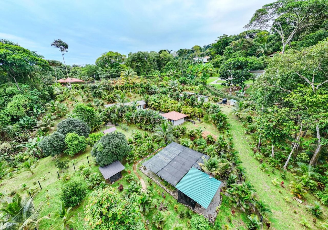 Private Waterfall Jungle Villa, Ojochal, Puntarenas