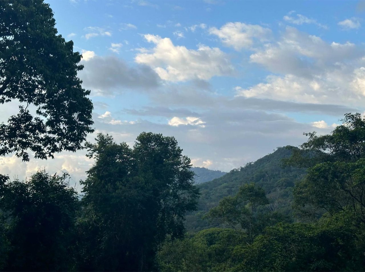 Ocean View Gated Development Lot, Dominical, Puntarenas
