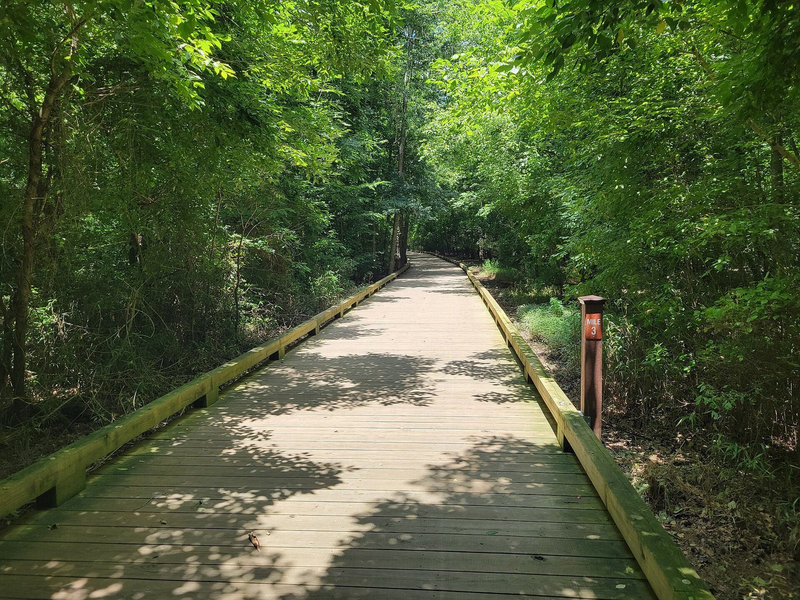 The Big Creek Greenway boardwalk at mile 3 in Alpharetta