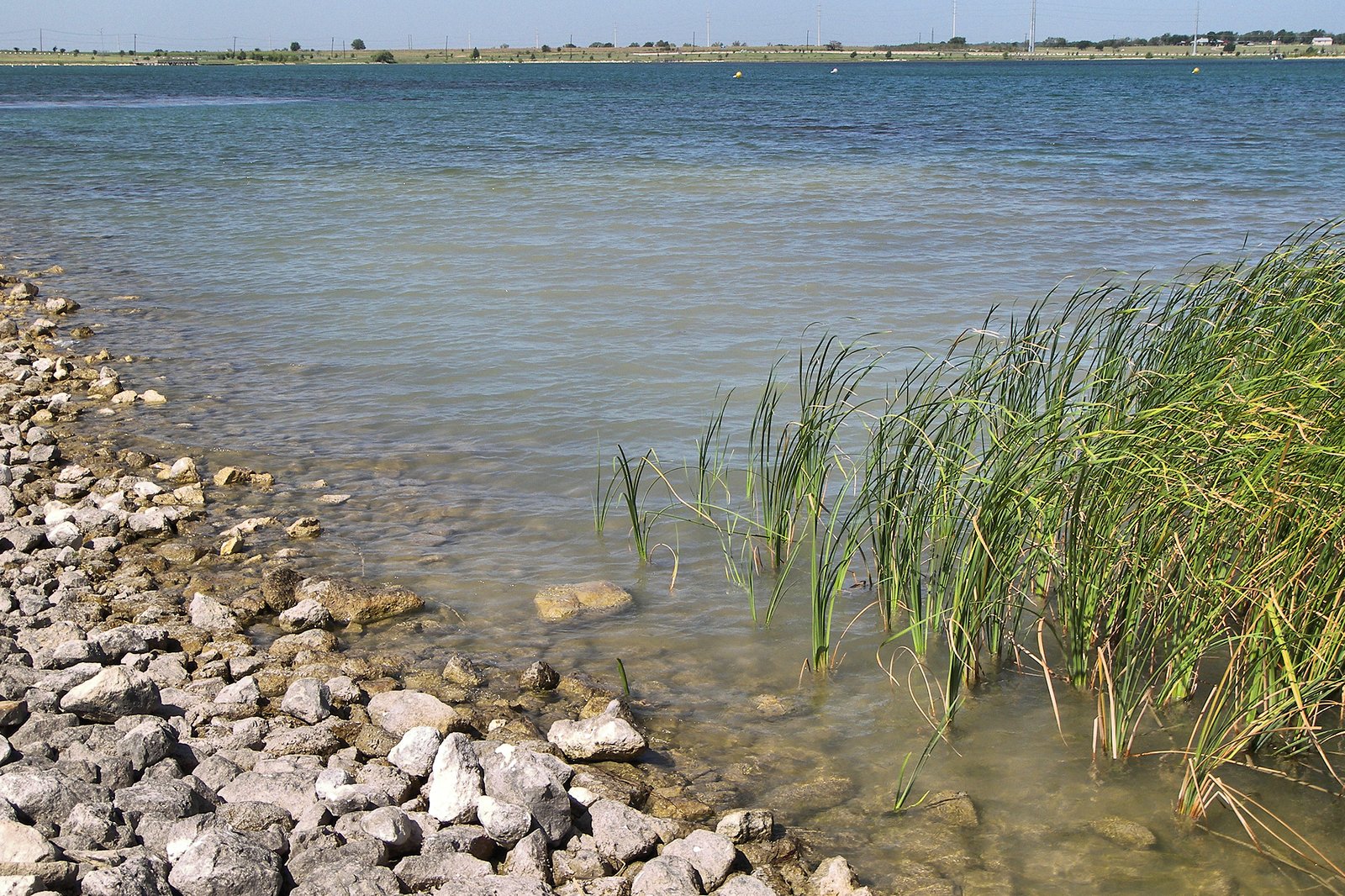 Shoreline of Lake Pflugerville with grass and open water