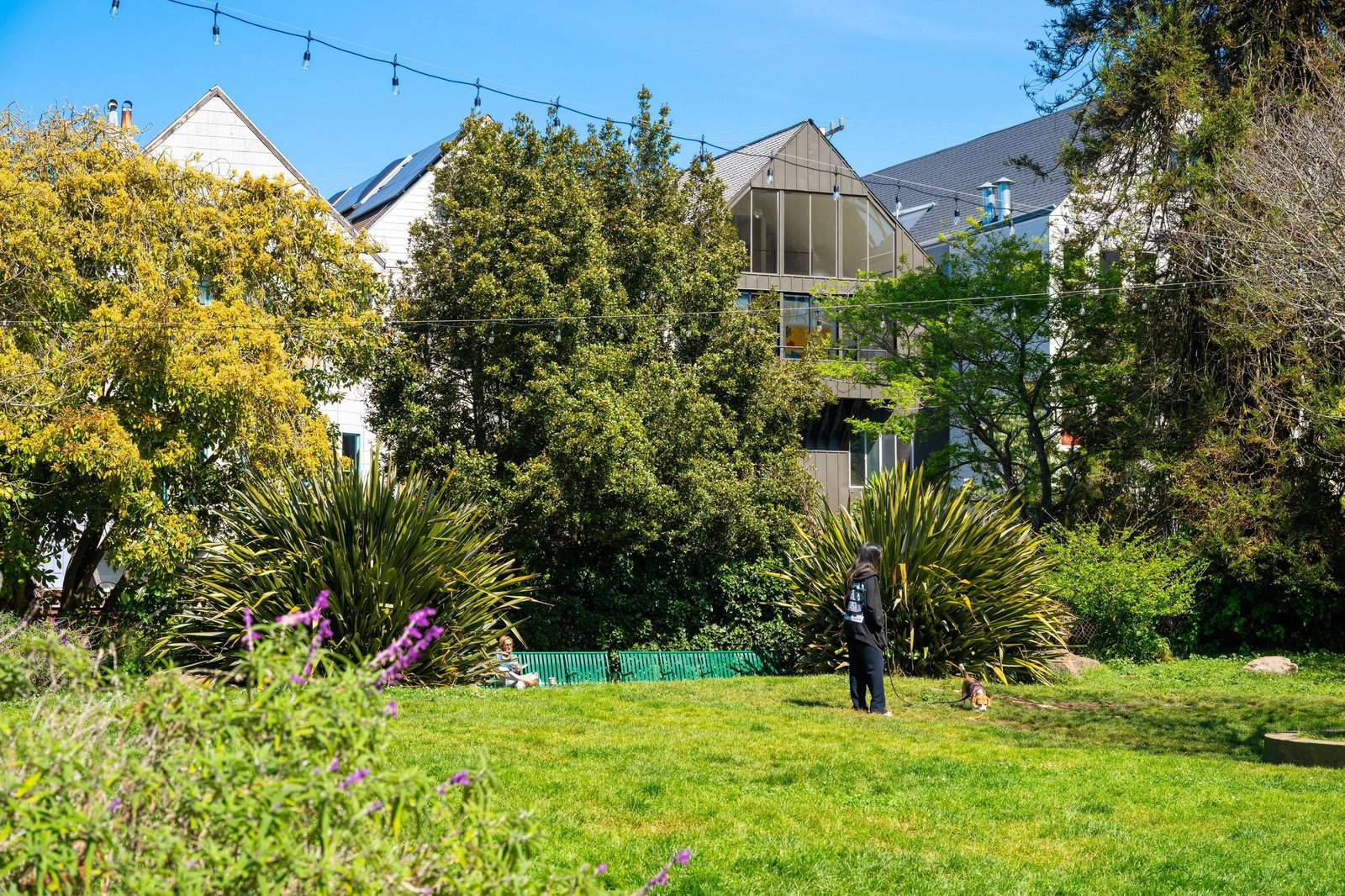 Green lawn and gardens in Golden Gate Park, around the corner from 449 Frederick Street
