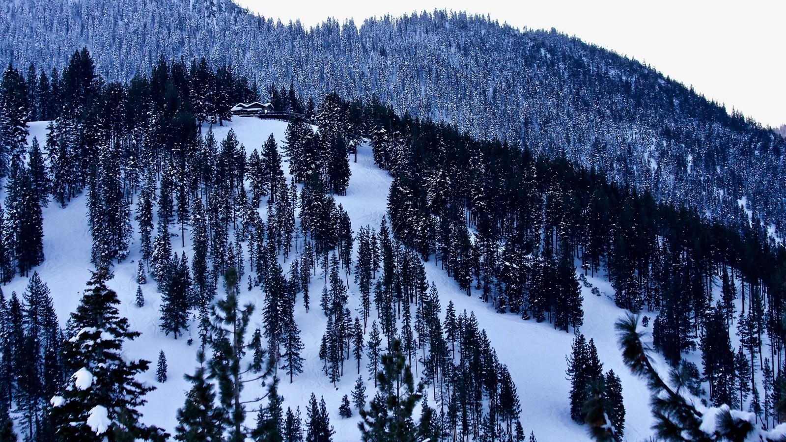 Snow-covered ski runs cut through the pines at Diamond Peak Ski Resort in Incline Village