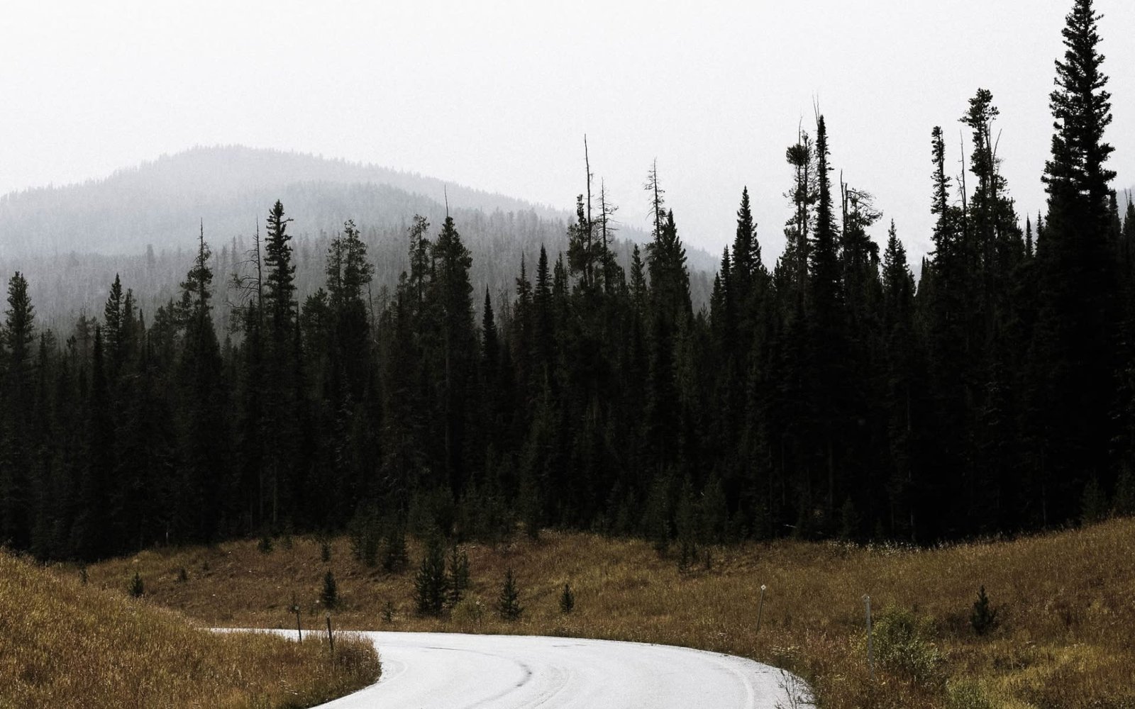 Rustic Retreats: Embracing Montana's Charm in Real Estate | Blog | The Big Sky Real Estate Co.