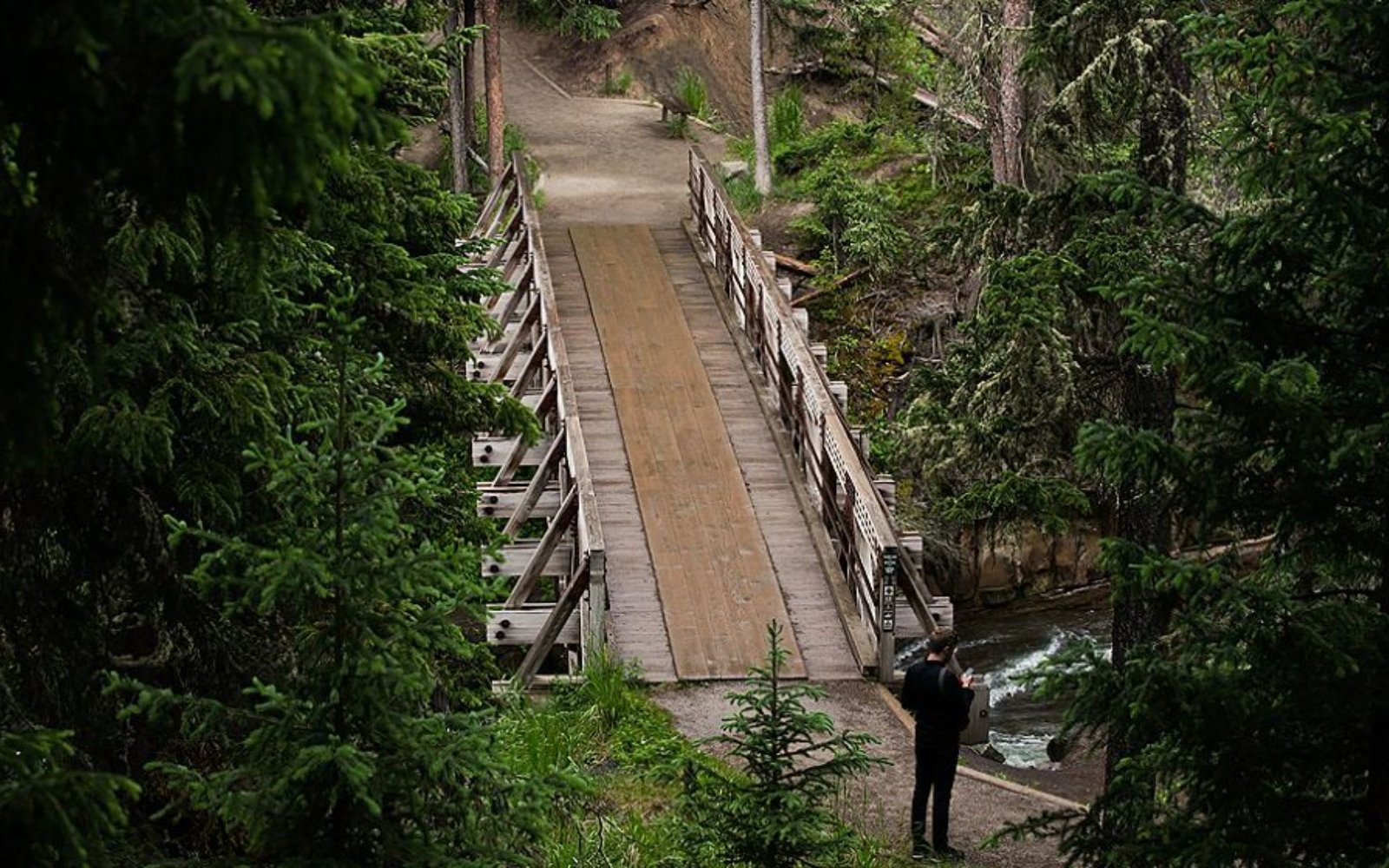 A Few of Our Favorite Hikes | Blog