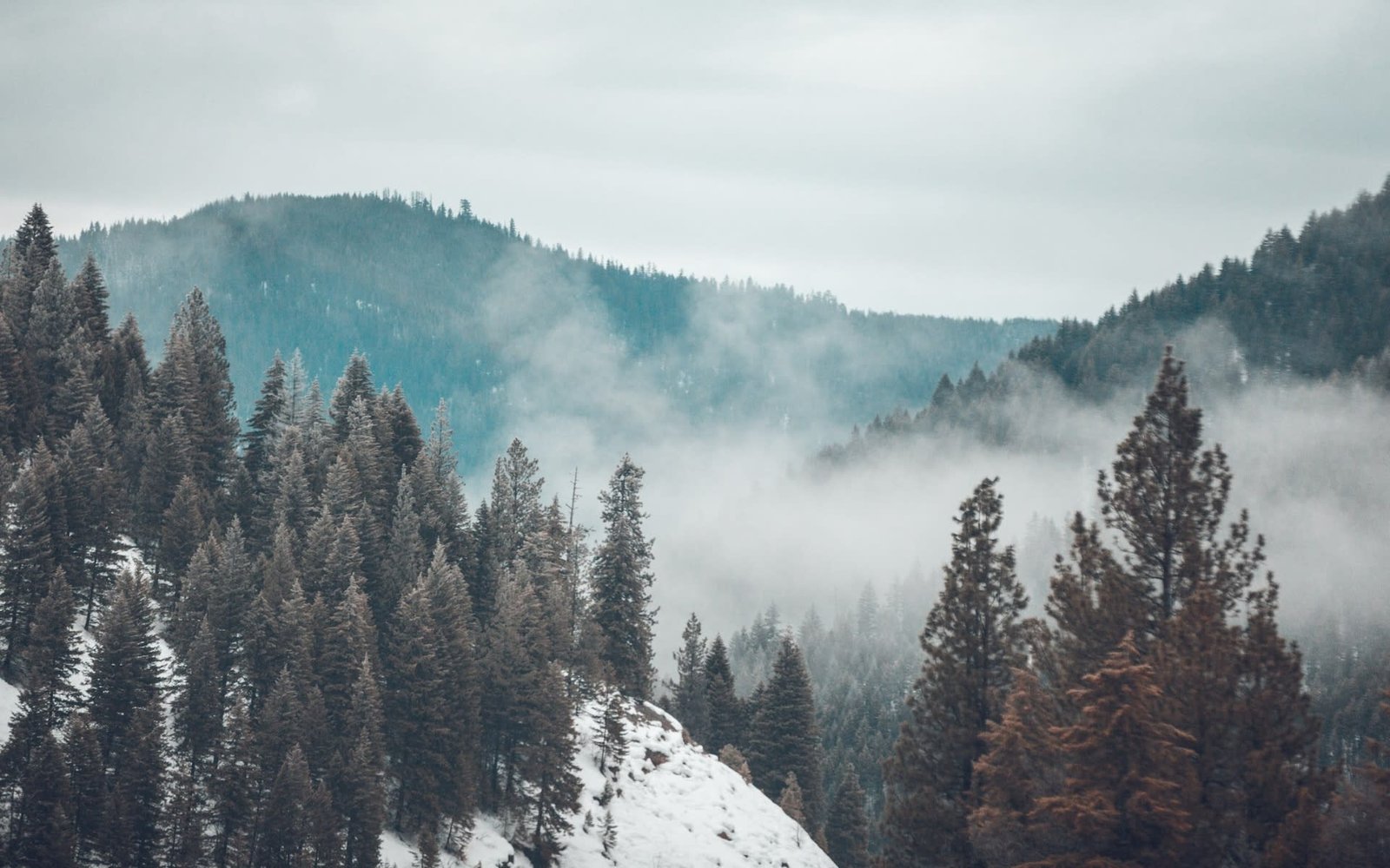 Investing in Paradise: Big Sky's Real Estate Boom | Blog | The Big Sky Real Estate Co.