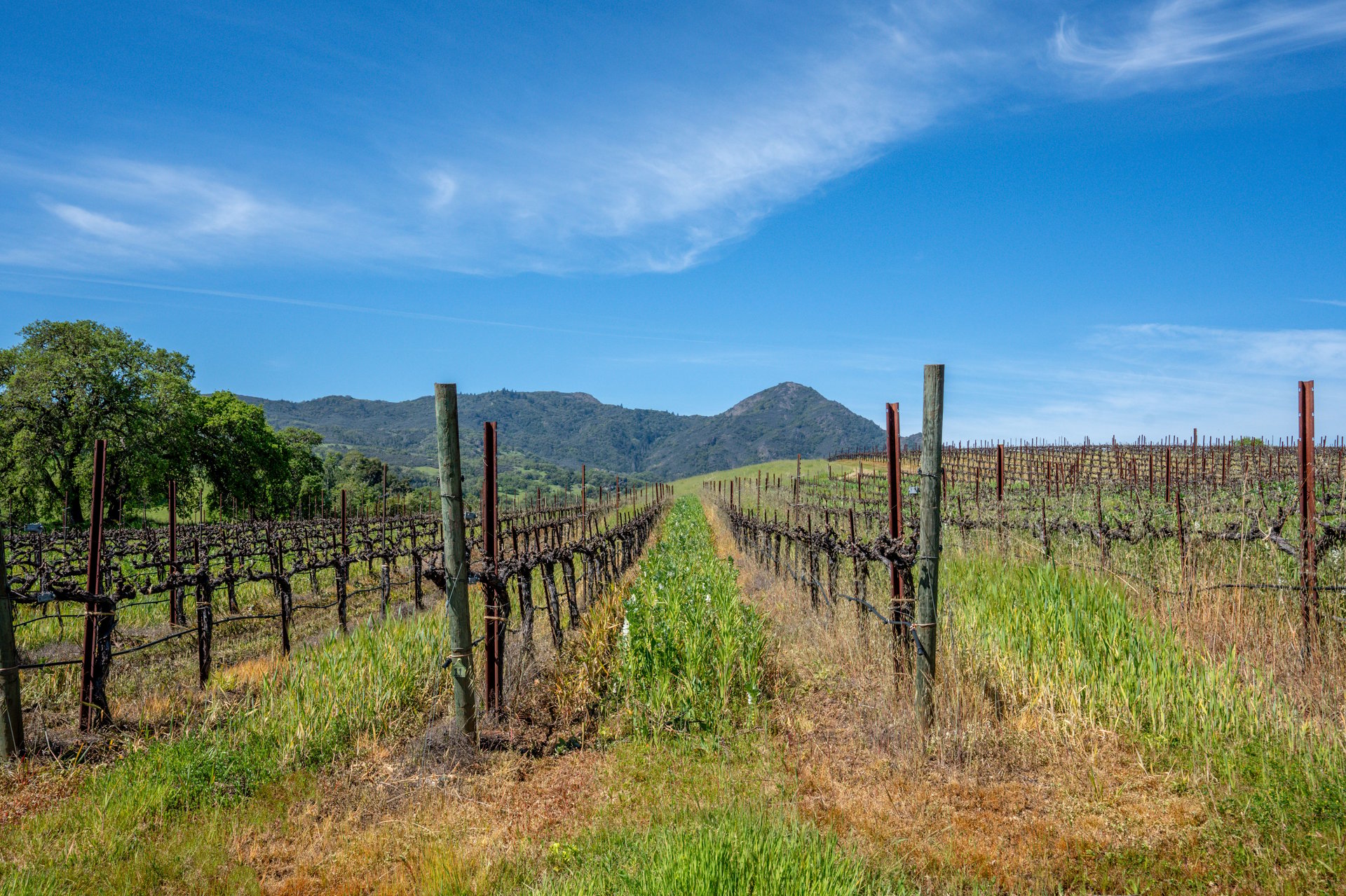 The Hopland Hills Ranch