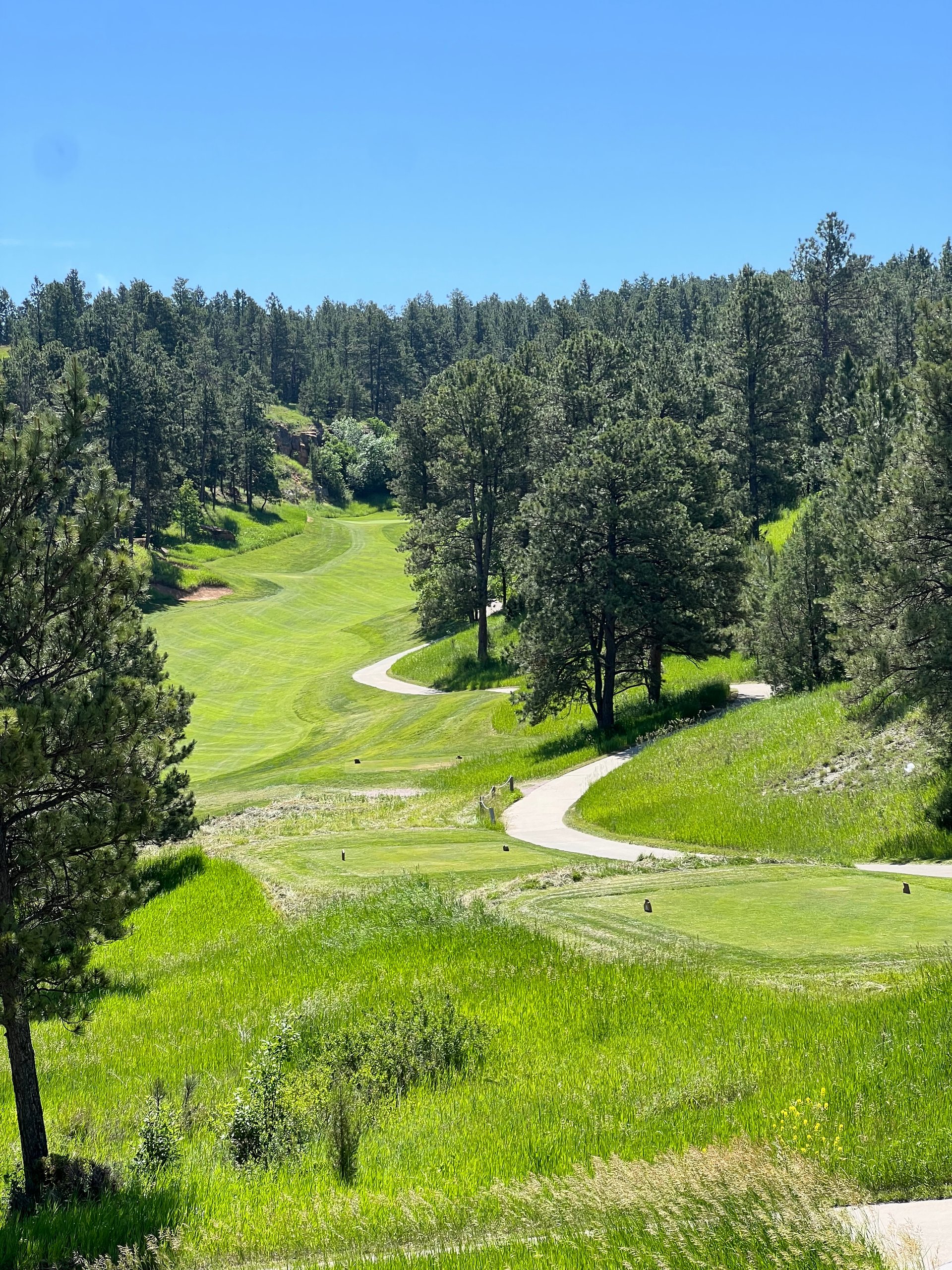 The Vision | Devils Tower Realty | WY Real Estate Agents