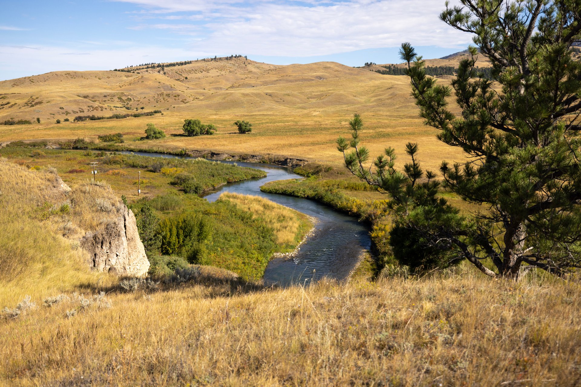 Big Spring Legacy Ranch