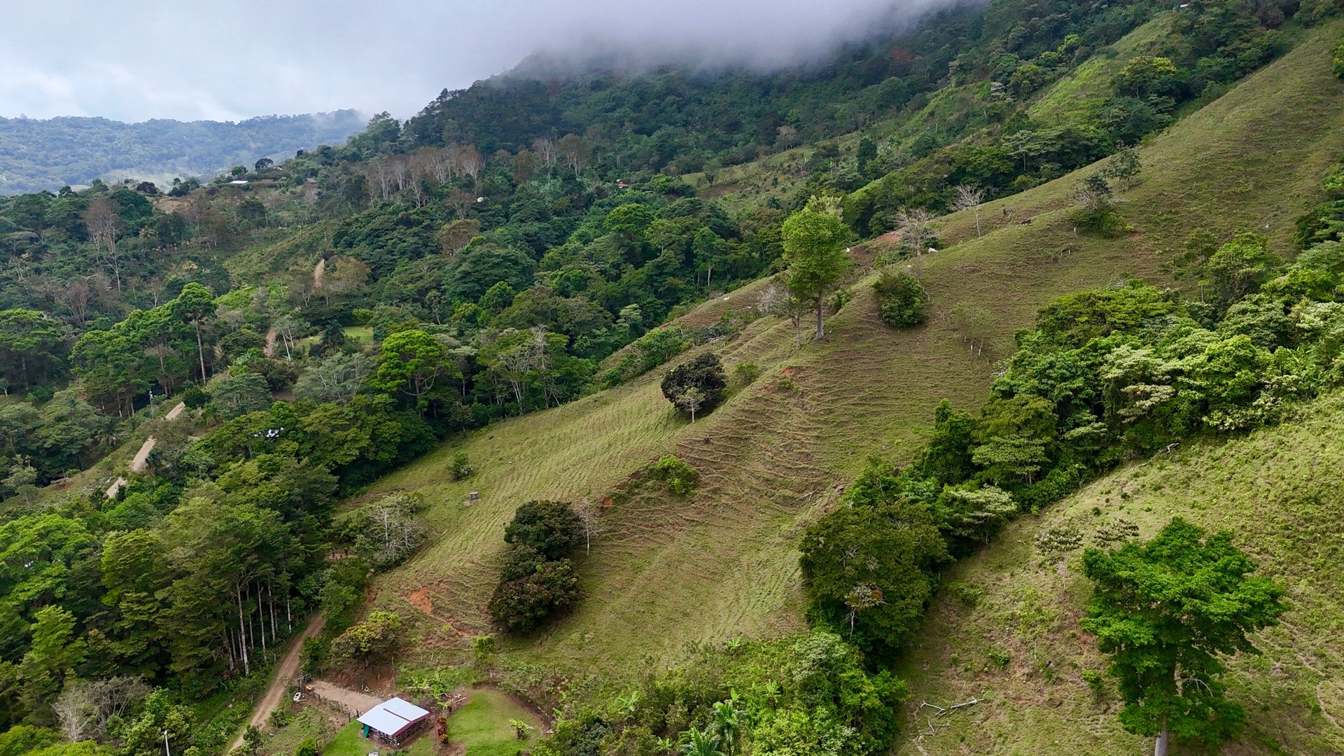 Gorgeous Land in San Luis Morete - Uvita - Over 17 Acres