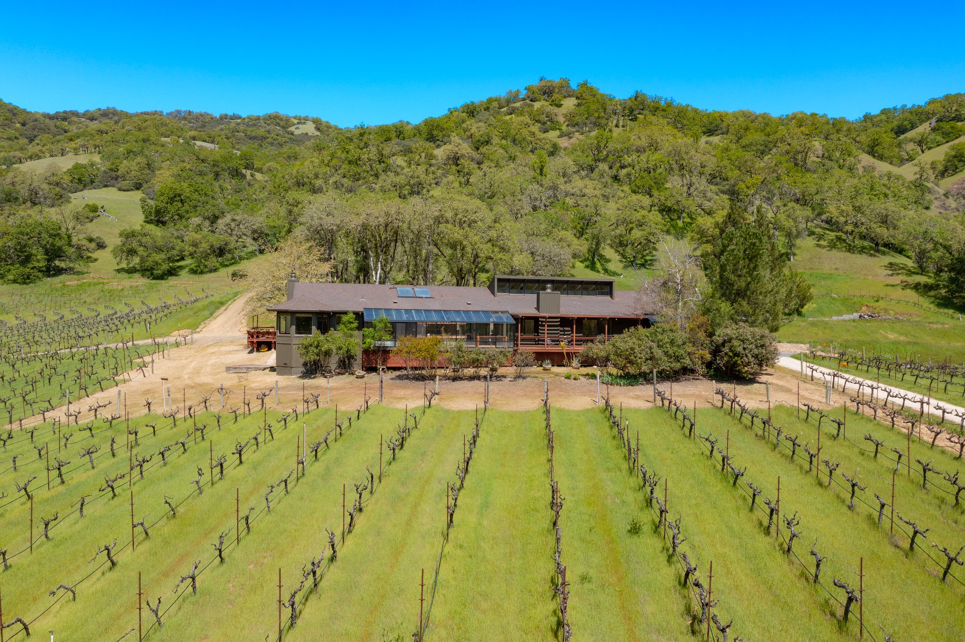 Open Hand Ranch 