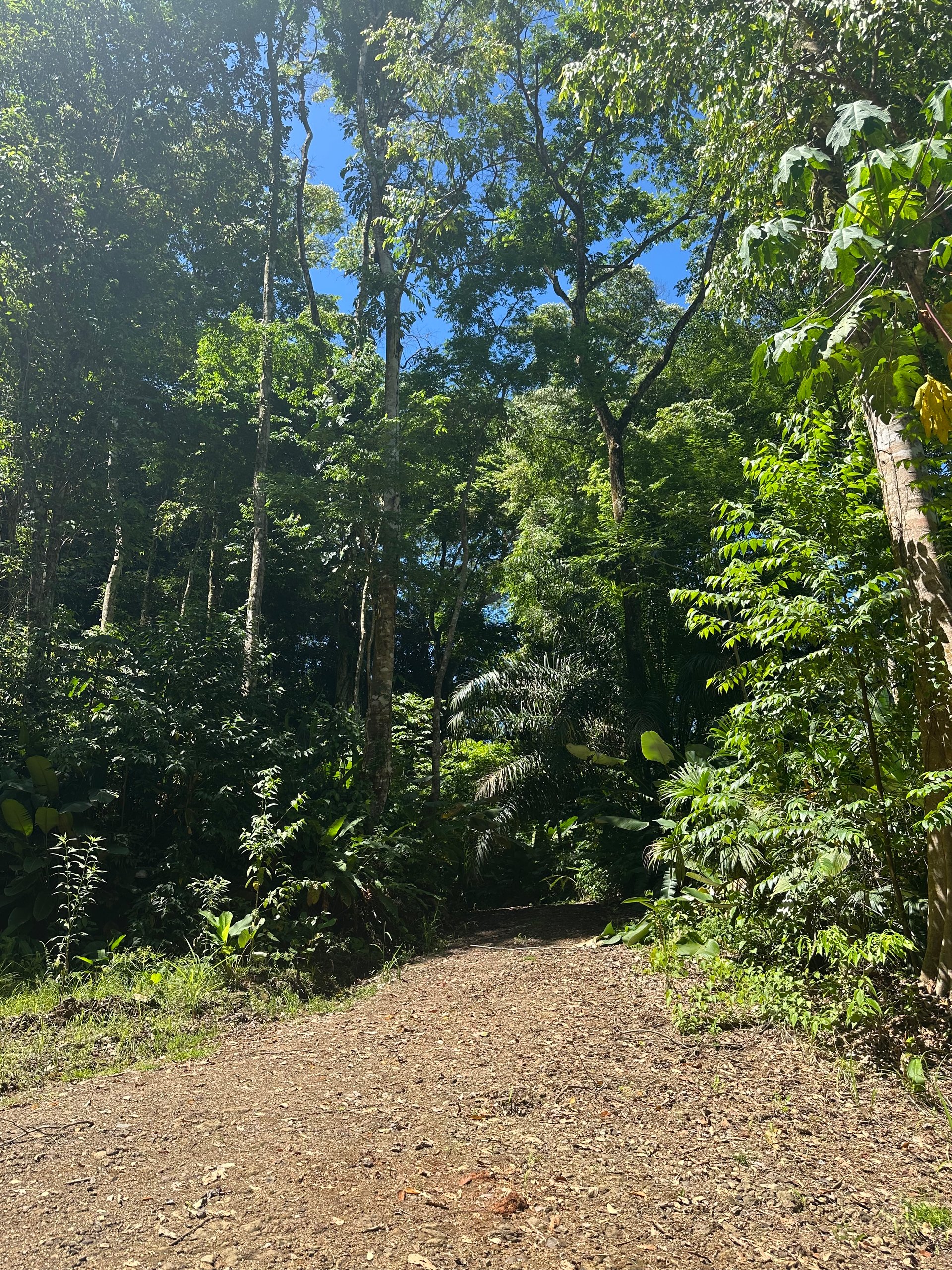Ocean View Lot in Paradise Breezes, Hatillo - Ready to build