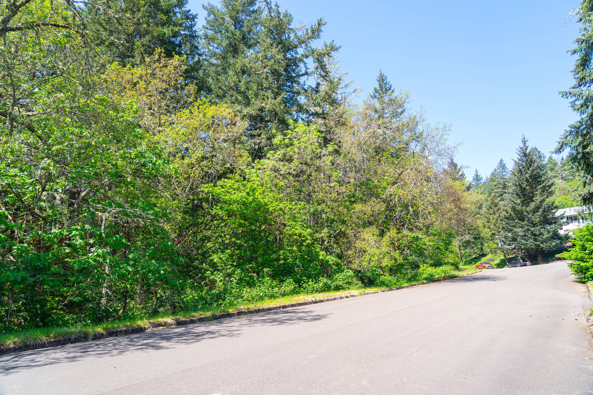 SUTHERLIN WOODLOTS