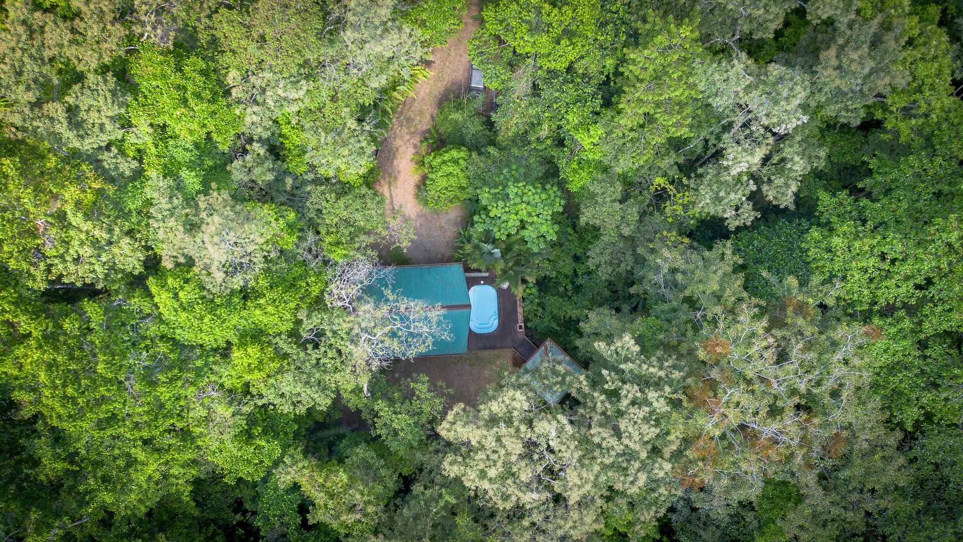Private Jungle Oasis! 1 Bed, 1 Bath Hatillo Haven