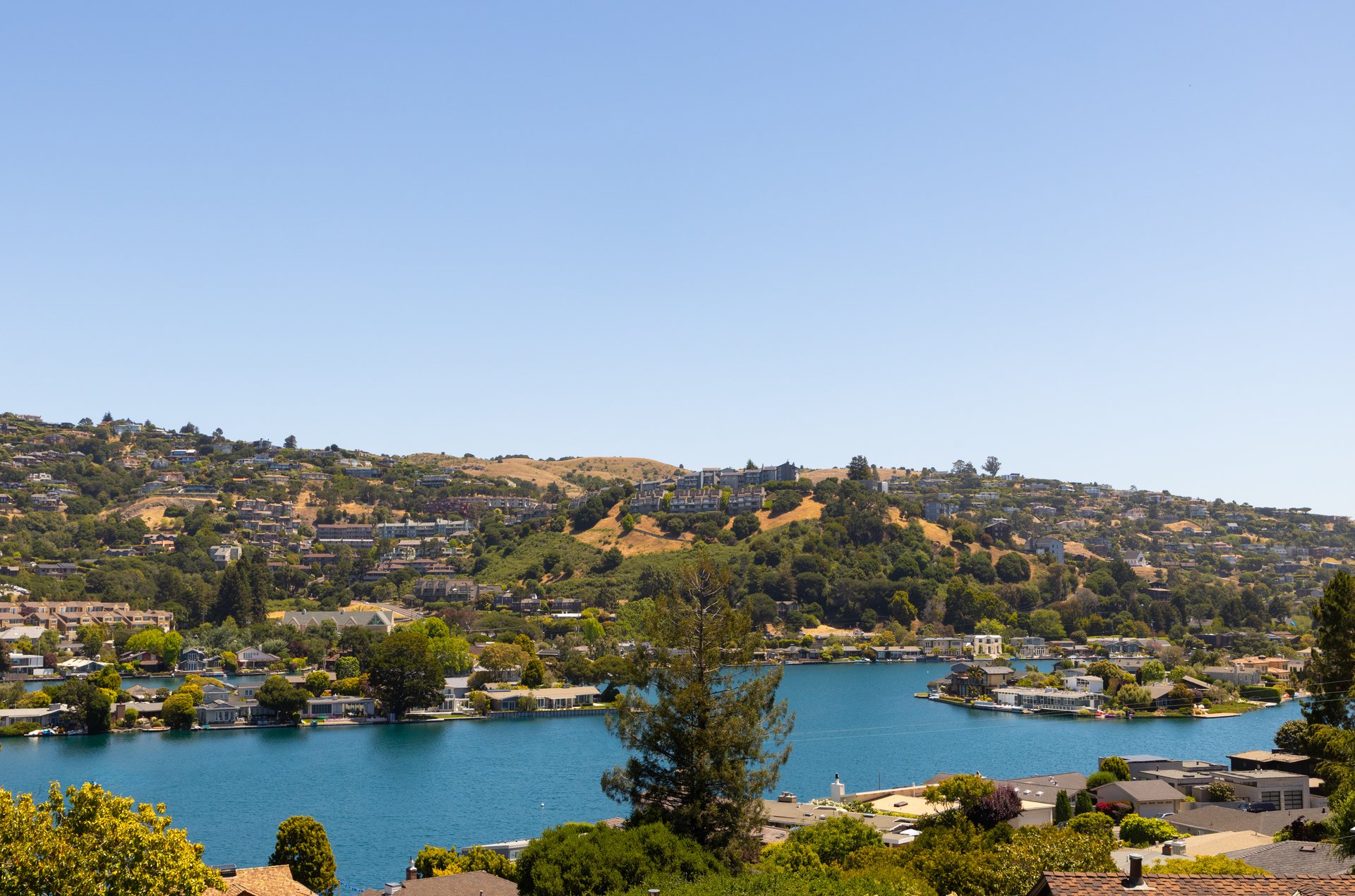 Incredible Location on Belvedere Island