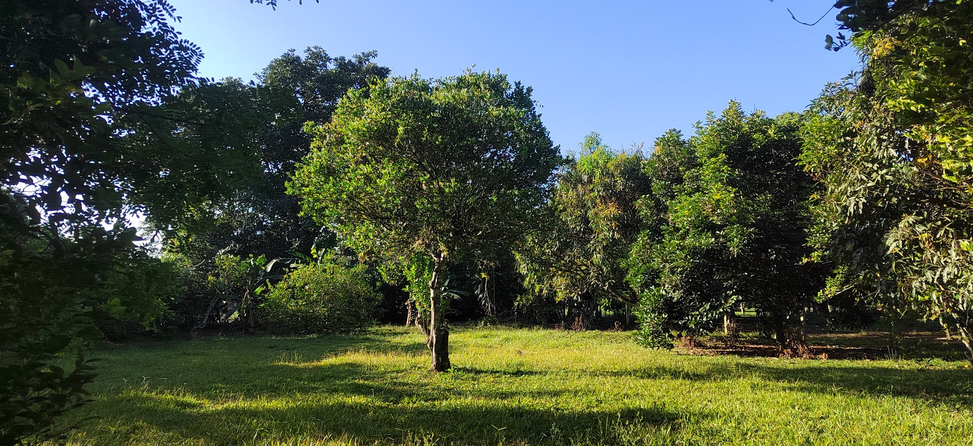 PRIME 1,100 M² LOT IN RESIDENCIAL LOS VIEJOS – FLAT, PRIVATE, AND READY TO BUILD