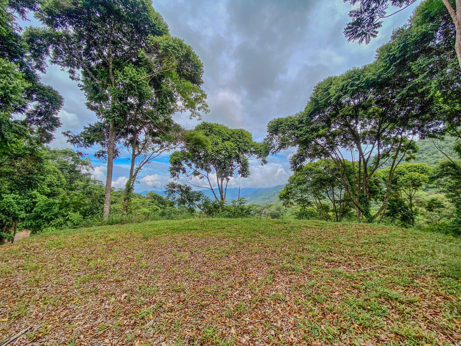 59.35 ACRES- Ocean And Mountain View Land, 6 Building Areas, Legal Water, Public Road, 20min From Beaches!!!