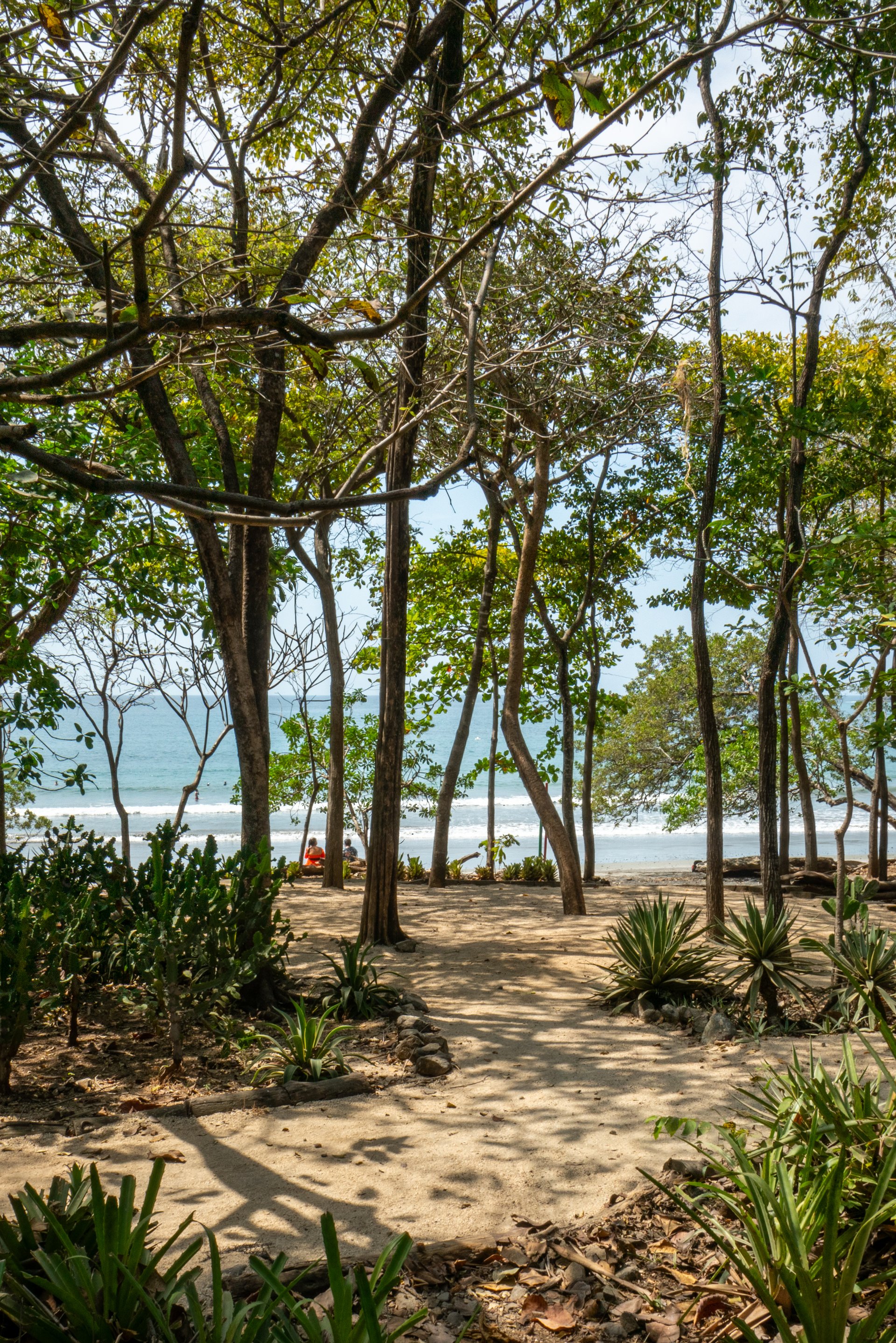 18 Calle La Ronda | Where Everyday Feels Like a Holiday