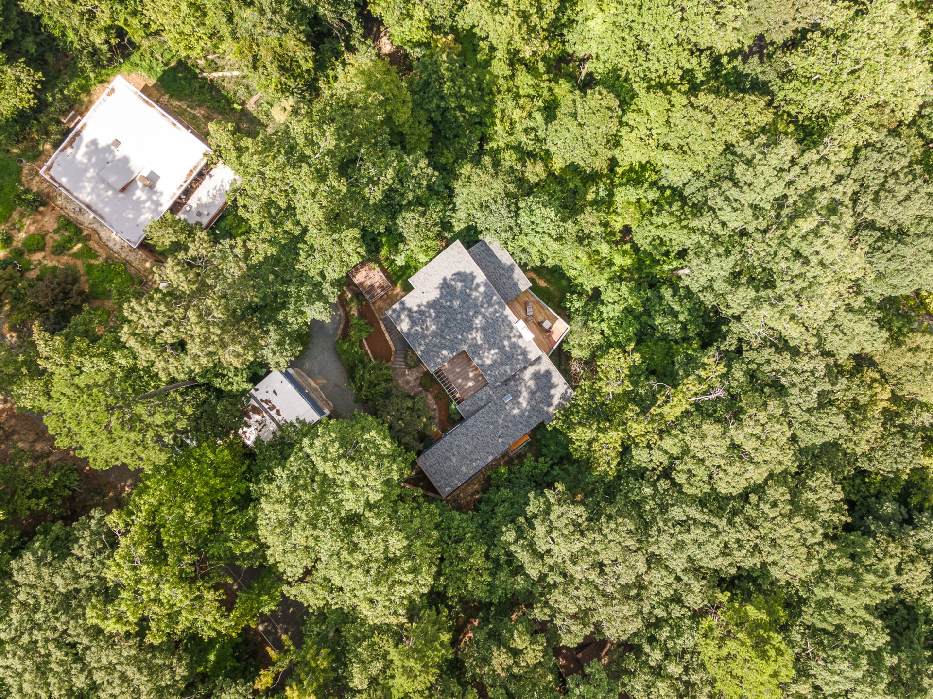 Modern, 4 Bedroom House near UNC