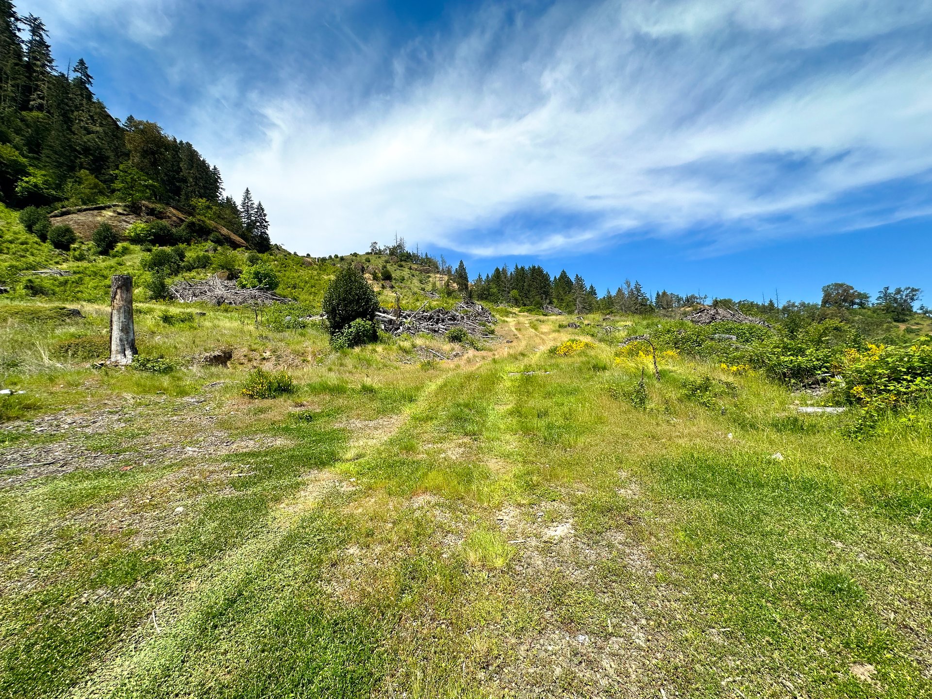 STRICKLAND CANYON HOMESITE