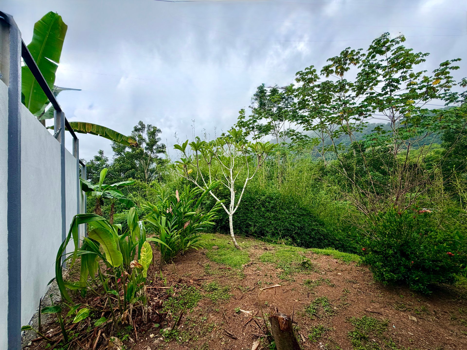 Tropical 2BR Home Near Playa Hermosa Beach | Successful Airbnb Rental in Uvita
