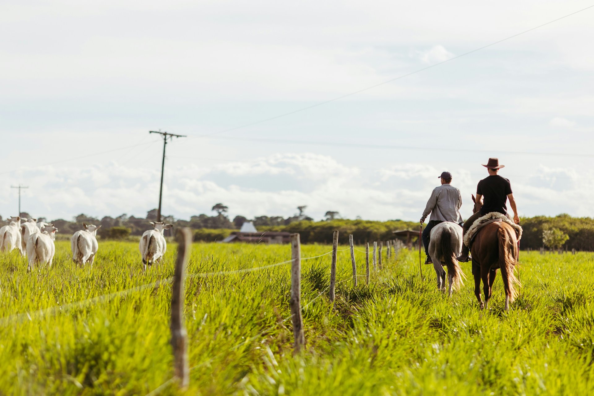 Meet Texas Land & Ranch Specialists | Get Some Land