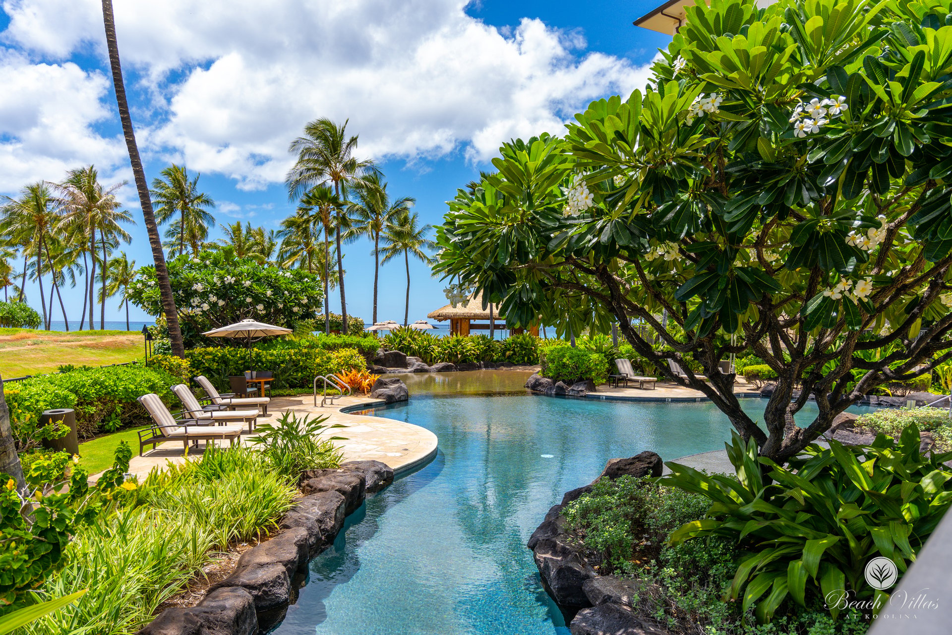 92-104 Waialii Place O505