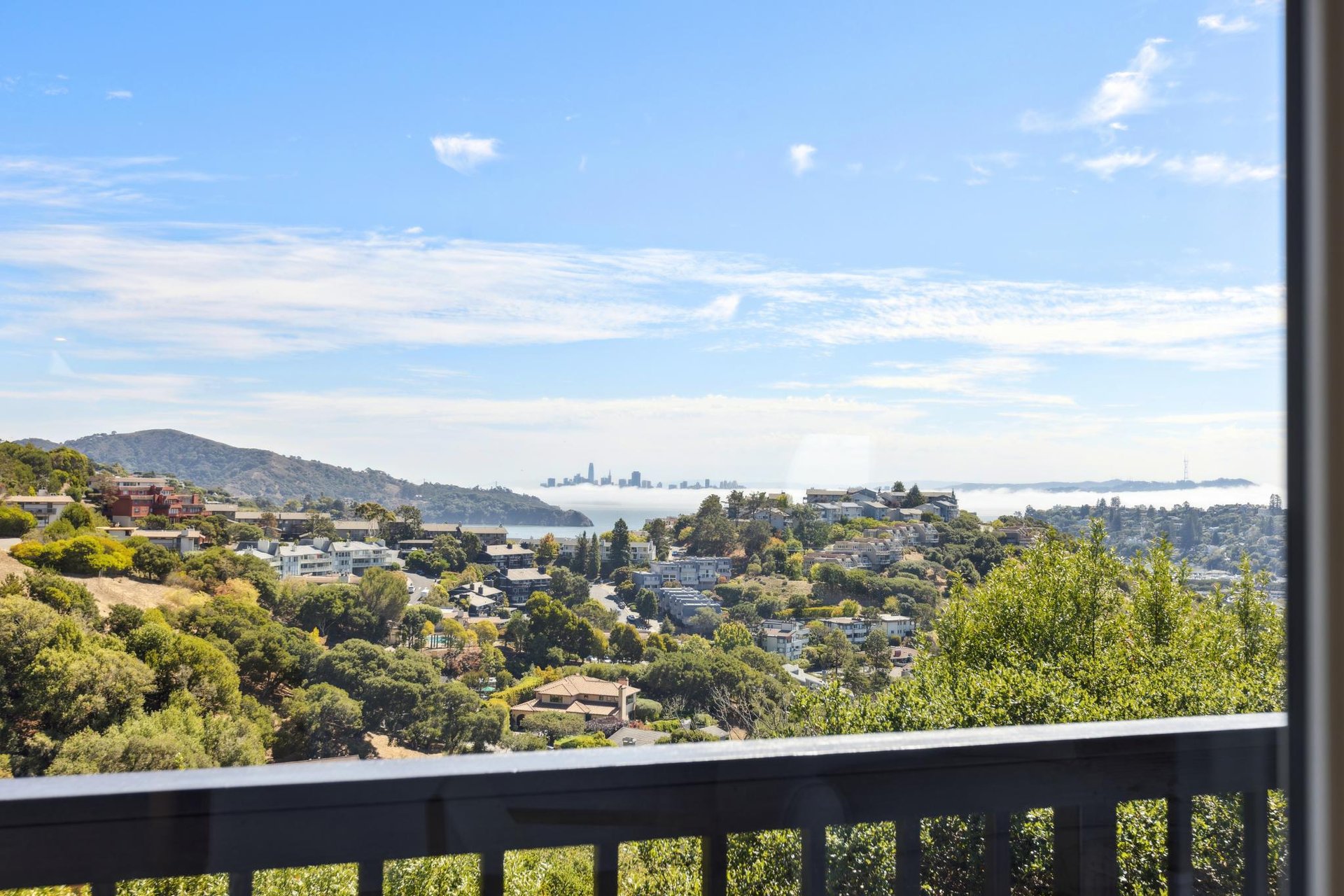 12 Tara View Road