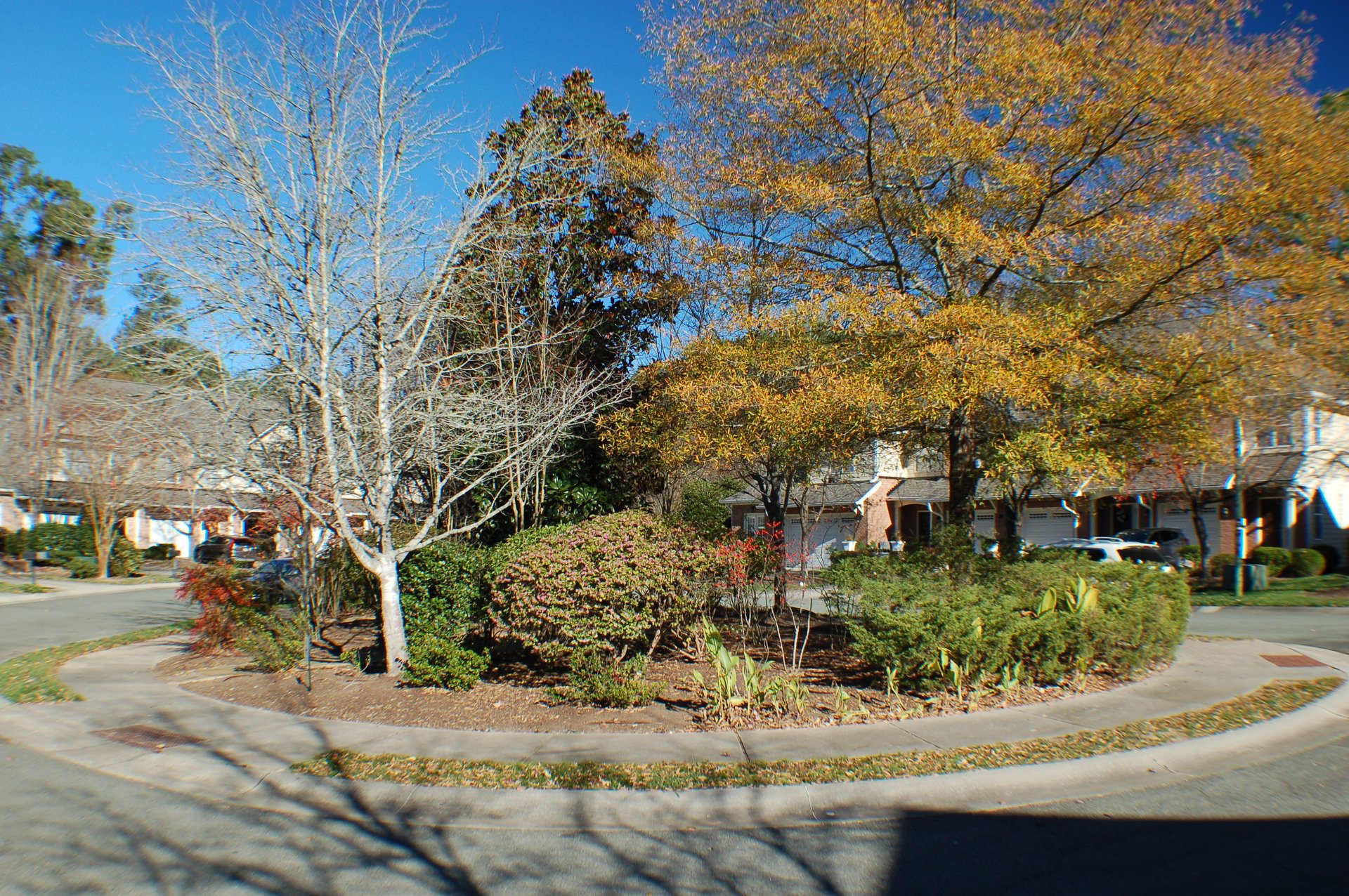 3 Bedroom Townhouse in Chapel Hill