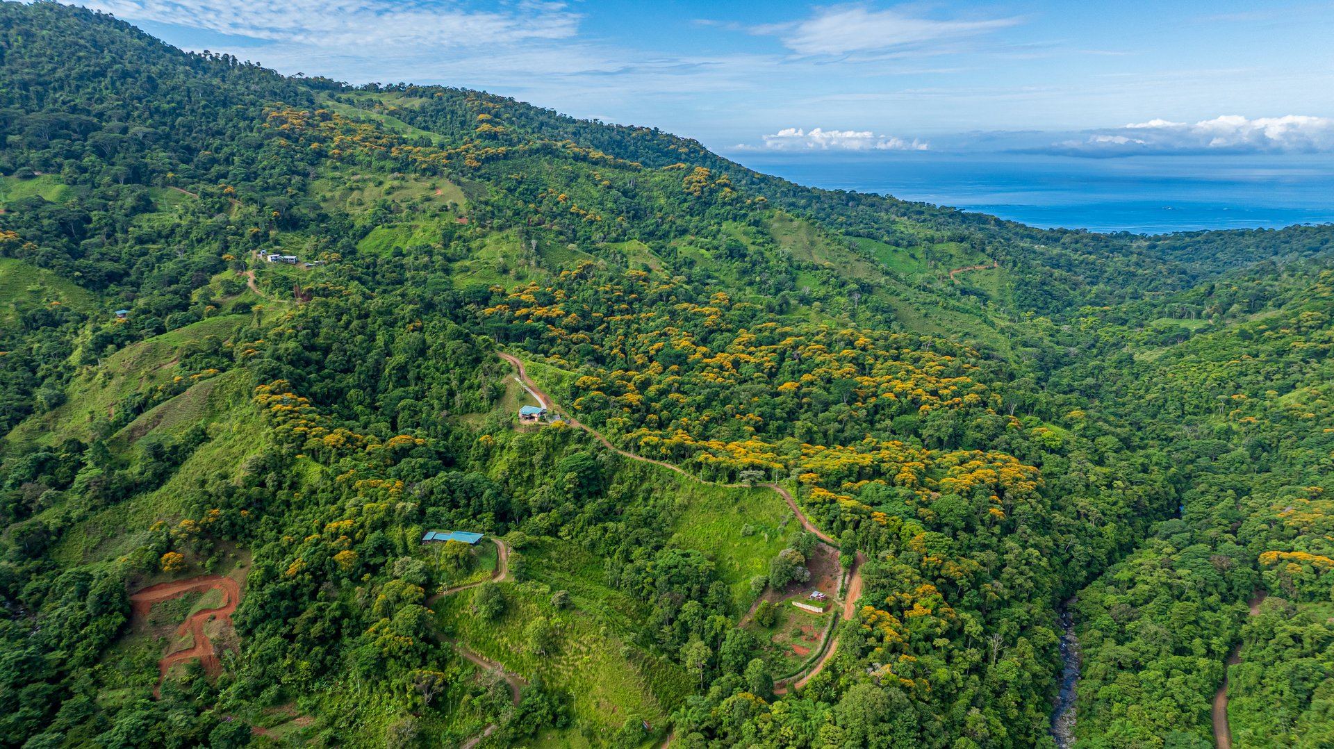 Mountain Farm & Homestead Opportunity in San Josecito, Costa Rica