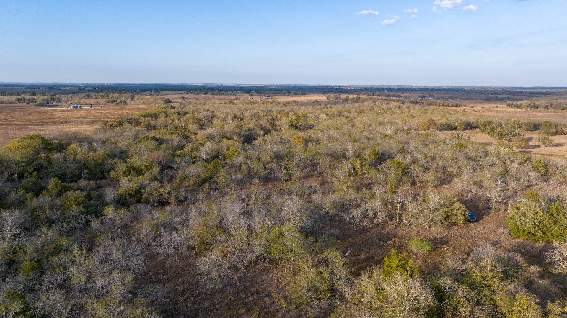 Gonzales County | 104+/- Acres