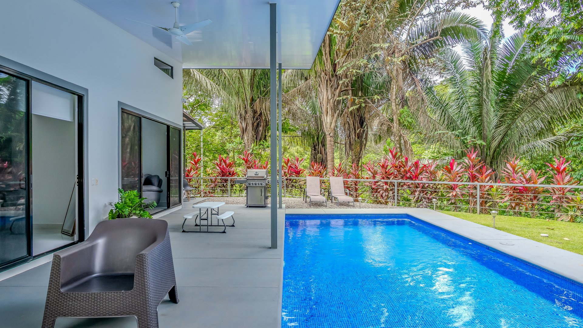 Cinco Ventanas Jungle Life Redefined