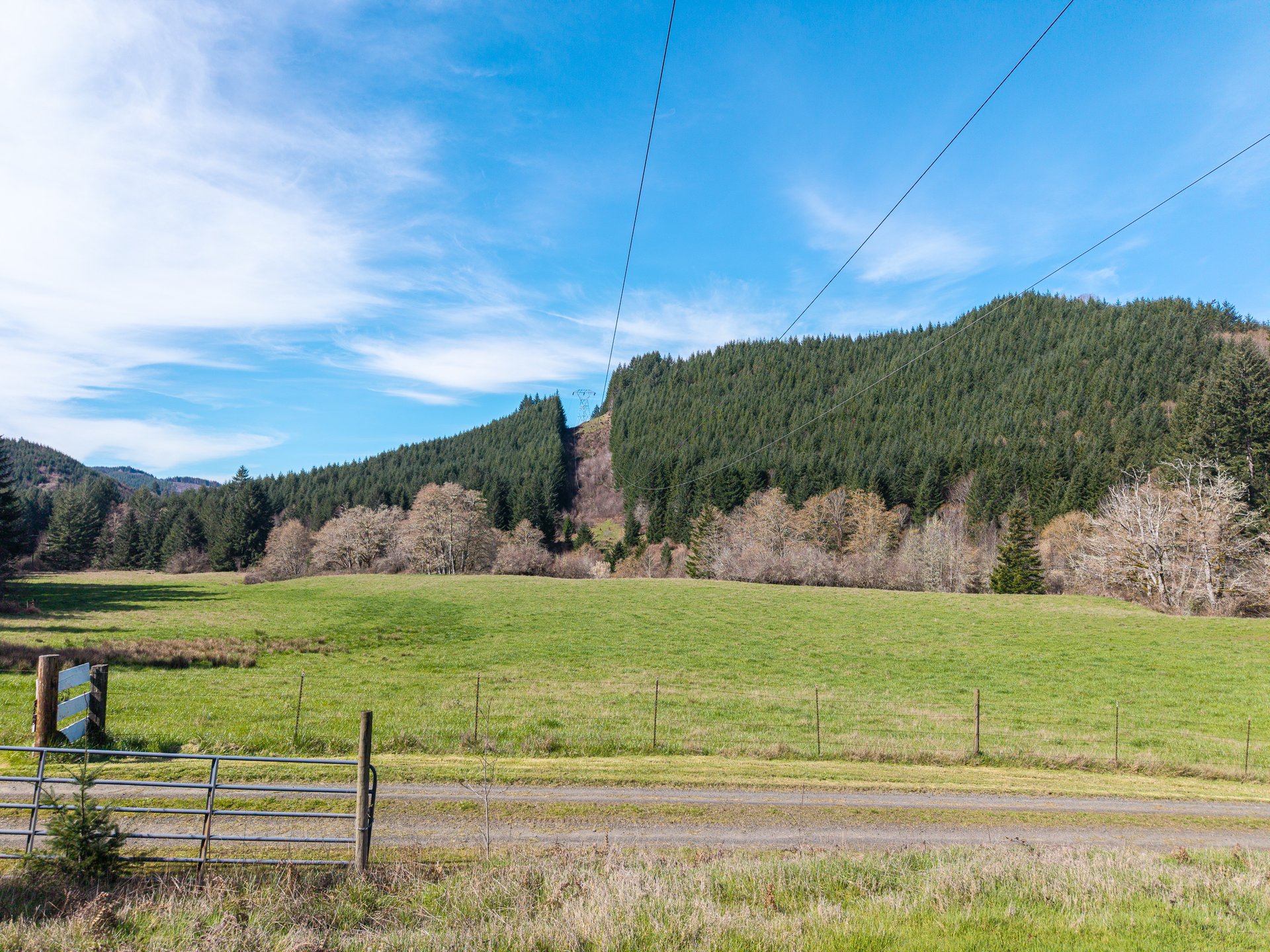 LITTLE ELK TREEFARM