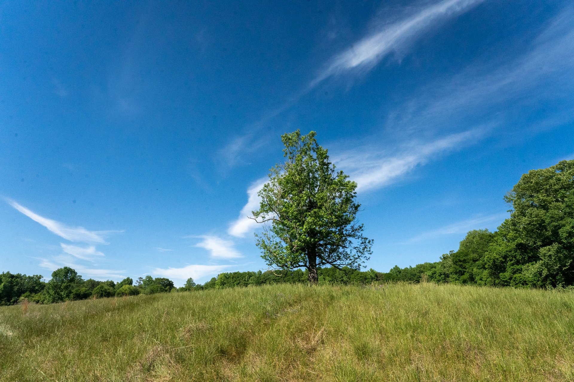 The Ranches at Sandy Creek