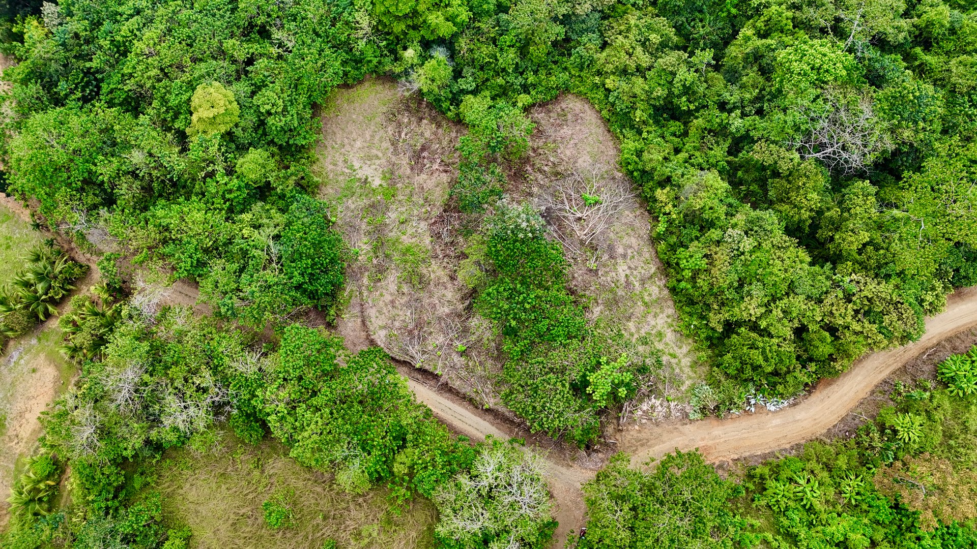 Price Reduced! Ocean View Lots in San Buenas – Just $70K Each